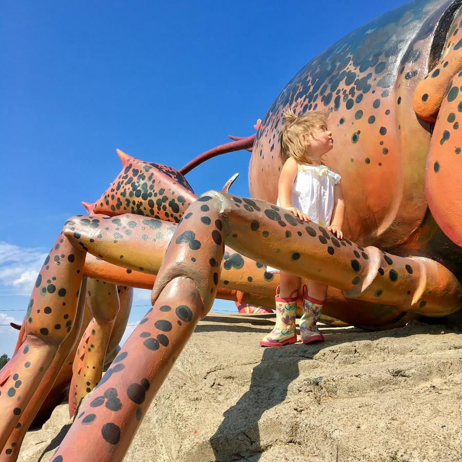 希迪亚克Le Griffon住宿加早餐旅馆 外观 照片